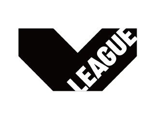 Vリーグ